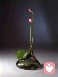 从今以后，不要再过你应该过的人生，去努力过你想过的人生，坚持的长短源于有无好胜之心，那些打败你的，说到底还是你自己！配图