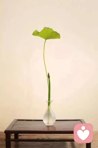 生活不会辜负认真的人，那些默默付出的汗水，那些咬牙坚持的日夜，终会化作照亮前路的光！配图