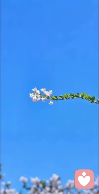 你今天的努力或许看不到结果，但成长从不是一蹴而就，日积月累的沉淀，终会让你厚积薄发！配图