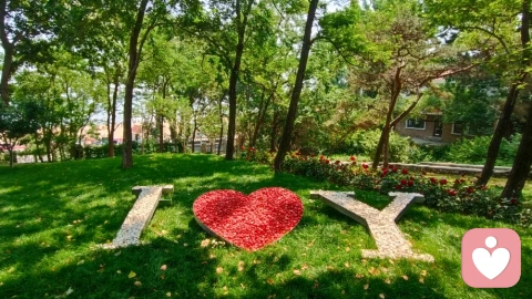 为什么感觉爱一个人好难？