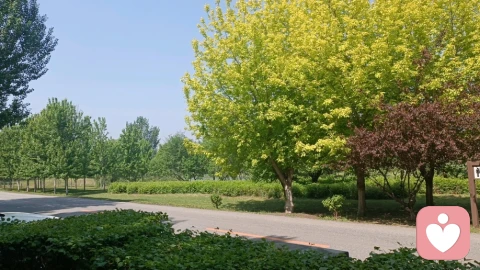 从上次恋爱中走不出来怎么办？