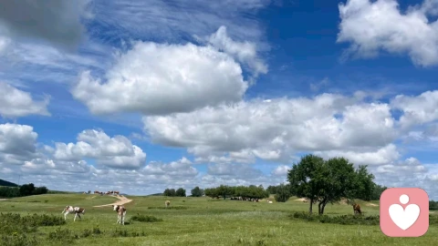 婚姻中对方财务上交，但缺乏亲密，需要离婚吗？