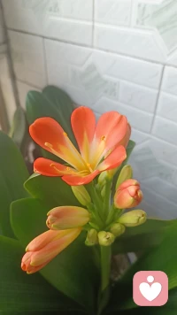 我攒了满世界的温柔，只为给你一人，偏爱永远为你倾斜。