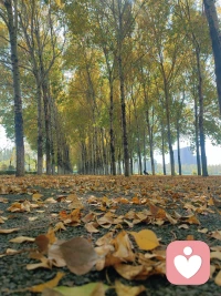 有个朋友跟我说，她最近跟老公吵了一架，吵得很凶，摔门那种。吵完她心里特别难受，觉得自己太过分了，怎么能那么大声说话，怎么能说那些伤人的话。她给我发消息的时候还在自责，说自己情商太低，不会好好沟通。我问她，吵完呢？她说，吵完老公愣了一下，然后坐下来跟她说，行，那咱们好好聊聊这个事。两个人把憋了半年的话都说开了，那些平时不敢提、怕伤感情的事，这回都摆出来了。我说，你看，有时候不吵这一架，那些话永远说不出口。很多人对「边界」这个词有误解。以为边界就是温柔地、礼貌地、不动声色地守住自己的底线。但真实情况是，边界从来不是温柔的东西，边界是硬的、有刺的、会让人不舒服的。你越是想温柔地守边界，越守不住。因为那些真正会越界的人，根本不在乎你的温柔。你说「我有点不太舒服」，他听不懂。你说「这样不太好吧」，他装听不见。你得狠狠地把他推出去，他才知道这里有堵墙。心理学上有个词叫「个人边界」，说白了就是你能忍什么、不能忍什么，什么可以商量、什么不行。但守边界这事儿，从来不是靠说「不好意思我有边界」就能守住的，你得有冲突的能力。敢于吵架、敢于冲突、敢于强势、敢于不礼貌、敢于不要脸，这些听起来不太好听的词，恰恰是一个人有没有能力守住自己边界的标志。我见过太多「好人」了。老板让加班就加班，朋友借钱就借，伴侣要什么就给什么。他们不是真的愿意，是不敢拒绝。不敢拒绝的底层，是害怕冲突。怕吵架，怕对方不高兴，怕关系破裂，怕自己成为那个不好相处的人。所以边界一次次退让，退到最后自己都不知道底线在哪儿了。可你发现没有，那些真正活得舒服的人，往往不是最温柔的那个。他们敢说不行，敢翻脸，敢让别人不高兴。关键是，吵完他们还能把关系修复回来。
这才是真正的能力，不是不起冲突，是有冲突的能力，更有收拾残局的能力。冲突不是坏事，冲突是在告诉对方「这里是我的底线，别踩」。没有冲突的关系不是和谐，是模糊，是你根本不知道对方的边界在哪儿，对方也不知道你的边界在哪儿。有些人怕吵架，是因为从小被教育「好孩子不吵架」。父母一吵架就冷战，或者一吵架就天崩地裂，他们学会的是吵架等于关系破裂。所以长大后宁可憋着，也不敢正面冲突。但你没发现吗？那些真正关系好的人，往往吵得最凶。他们吵完该干嘛干嘛，不记仇，不翻旧账，吵架就是为了把话说开。因为他们知道，吵架不会毁掉关系，藏着掖着才会。配图