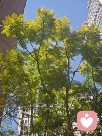 好好吃饭，好好生活，想懒散就懒散一下，焦虑就焦虑一下，只要活着，你就有重新开始的机会，最重要的是你自己不要在懒散的时候攻击自己懒散，我们都是人，都有一些动物本能。重要的是，懒散过后能重新开始，焦虑过后能重新开始。不要为难自己。配图