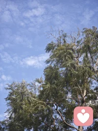 你不需要别人认可，你只需要吸引和你同频那一部分就可以了。配图