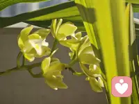 多巴胺是天然的让人快乐的化学物质，当我们期待某事会得到奖励时，我们的大脑就会释放这种化学物质，多巴胺会让我们为了奖励不停投入。例：刷短视频容易上瘾还控制不住自己。多胺的奖励机制导致大脑相关区域一直被激活，但同时其他区域被激活，尤其是负责进行冲动控制和决策的脑区。
       利用大脑可塑性，放下手机，持续的开展其他行为习激活其他脑区。同时避免因持续激励而导致的大脑奖赏系统被耗尽。配图