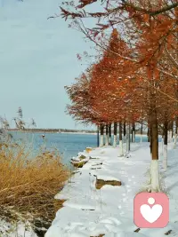 人一旦对他人没了期待，自己就会处处遇惊喜。至于伴侣，没那么好，也没那么坏，不要妄图改变对方，太累。记住，没有人会是你想象中的样子，把对方看轻，把自己看重，婚姻，本就是各凭本事，各凭良心。