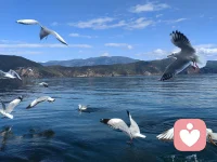 清晨的风，正吹向更好的你！配图