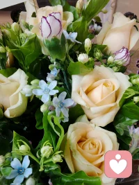 不以物喜，没什么可喜，喜总会过去。 
不以己悲，没什么可悲，悲总会过去。配图