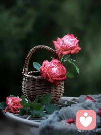 一段特殊关系真正拖垮你的，从来不是关系本身，而是你用正常恋爱的心态去对待一段注定阶段性的关系。配图