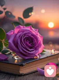 🇨🇳生活，就像这花，充满了色彩与希望。每一个瞬间，都值得我们用心去感受、去珍惜。感恩生活中的每一个小确幸，它们汇聚成了我们幸福的源泉。配图