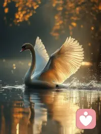 人在变强的路上，会真正爱上自己，那种爱不是自恋，是经历了无数次独自穿过风雨后的确认感，你学着在无人撑腰的日子里，挺直腰杆，在孤立无援时刻咬紧牙关，慢慢戒掉对他人的期待，把生活的方向盘，牢牢握在自己的手里，你能笑着接纳所有的不完美，也能勇敢奔赴一场未知的挑战，你终于明白内心的丰盈才能抵御世间所有无常的铠甲，你不再借助别人的喜欢来确认自己的价值，当你把目光收回自己的身上时，就会发现自己早已是自己的靠山。