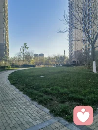 特别喜欢望天空，天空中出现的每一道风景，都觉得是惊喜配图