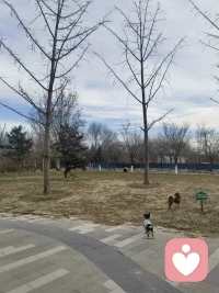 入住给力通过了，新起点，新的开始，又一次体验到了新人的感觉，很nice配图