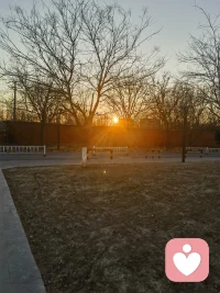 新的一天从跑步开始配图