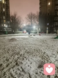 记录天津的第一场雪配图