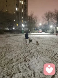 记录天津的第一场雪配图