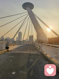 追光的运气不会太差