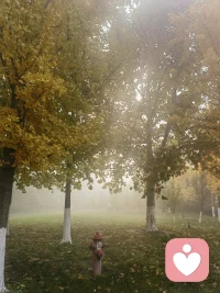 人心各有所愿，没有道理可讲