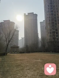 修一身正气撑天地，留三分匪气镇小人，
养七分峡谷行天下，带三分匪气戏红尘。