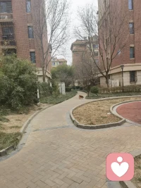 有时候，设立界限不是为了疏远，而是让尊重有地方落脚。