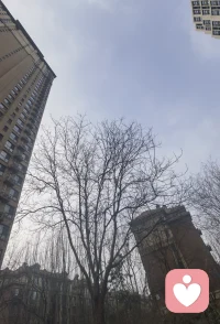 爱从来不是选择，
而是让人感到温暖和勇敢，
是明知不可为而为之的坚定。