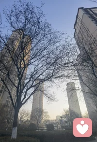 所有的心甘情愿，都是因为爱吧