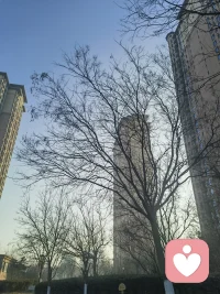 所有的心甘情愿，都是因为爱吧