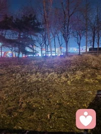 一切都是最好的安排，用满腔温柔遇见，用满心慈悲接受好坏配图