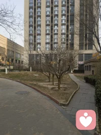 山有顶峰，湖有彼岸，
万事皆有回转，一切终有回甘配图