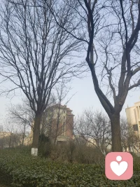 山有顶峰，湖有彼岸，
万事皆有回转，一切终有回甘配图