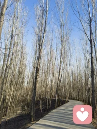 拥抱大自然给的馈赠