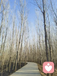 拥抱大自然给的馈赠