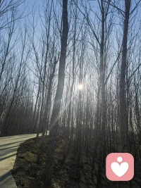 生活终归是属于自己的一场盛宴，
不拧巴，能自洽，
才能更快乐