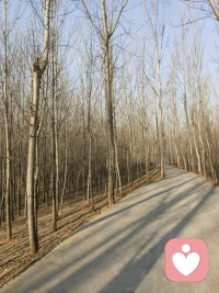 生而悦己，而非困于他人