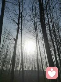 不必成为谁眼中的完美，你看，连月亮都有缺角，可它依然温柔的亮着。