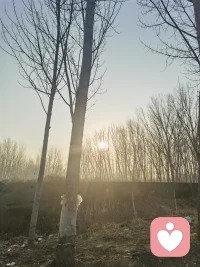 人生四十才刚开始，在这之前，都是走调研
爱过恨过都是真实的，太过执着，就有点钻牛角尖了