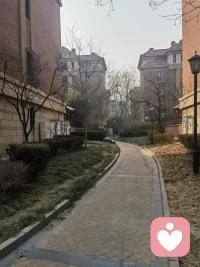 今天起早了，太阳☀还没出来