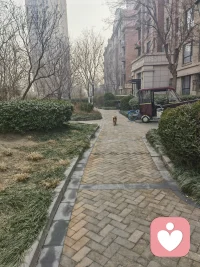 今天起早了，太阳☀还没出来