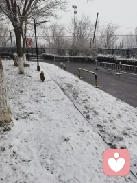 天津下雪了，好喜欢配图