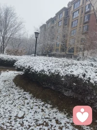 天津下雪了，好喜欢配图