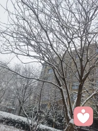 天津下雪了，好喜欢配图
