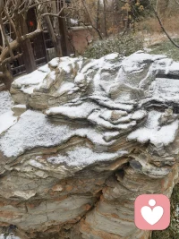 天津又下雪了，前两天算惊喜，今天的雪那就算惊喜不断，感觉今年要有好多好事发生，期待