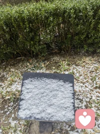 天津又下雪了，前两天算惊喜，今天的雪那就算惊喜不断，感觉今年要有好多好事发生，期待