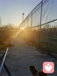 愿你我心如旷野，自在如风配图