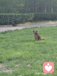 我们应该是从喜欢里得到力量和快乐
而不是花光所有力量和快乐去喜欢配图