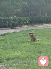 我们应该是从喜欢里得到力量和快乐
而不是花光所有力量和快乐去喜欢配图