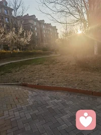 你看，风在摇树，云在追光，我在等你
没有急切的期待，只有温柔的笃定
你来了，我便递上一杯温茶
你没来，我便把心事说给风听
让它替我，思念吹到你身边。配图