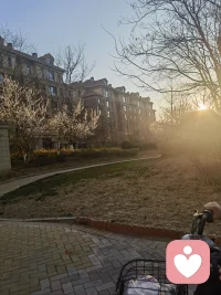 你看，风在摇树，云在追光，我在等你
没有急切的期待，只有温柔的笃定
你来了，我便递上一杯温茶
你没来，我便把心事说给风听
让它替我，思念吹到你身边。配图